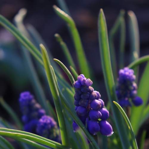 Photo #8051296