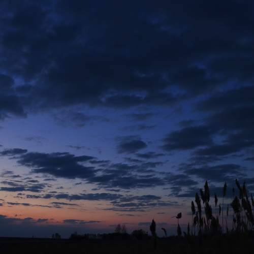 Photo #8051310
