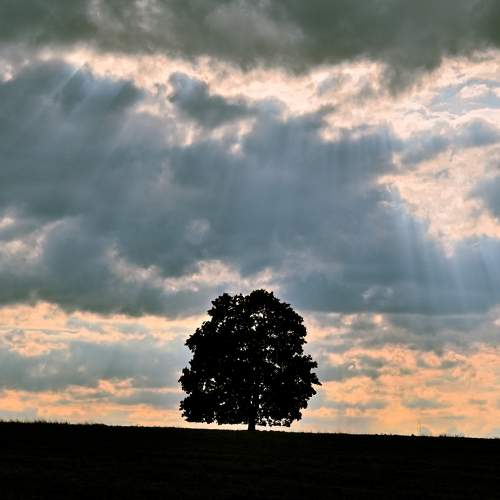 Photo #8051546