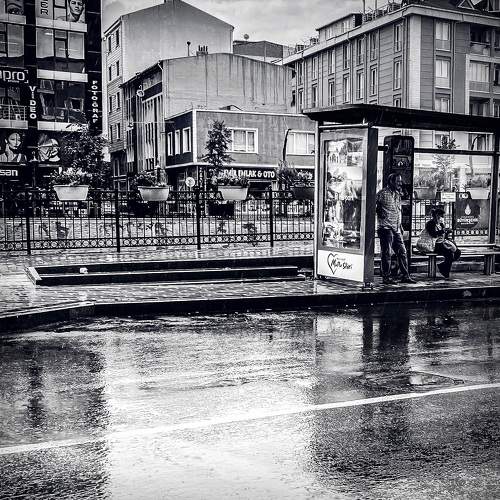 Фотография #8051708