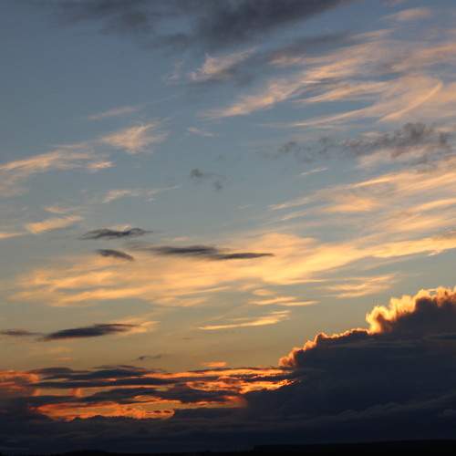 Photo #8051937