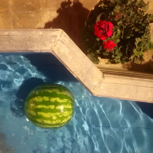 Photo #8052012