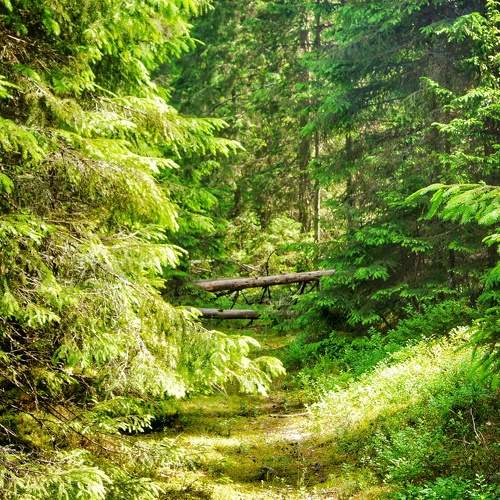 Photo #8052158