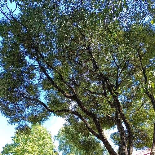 Photo #8052211