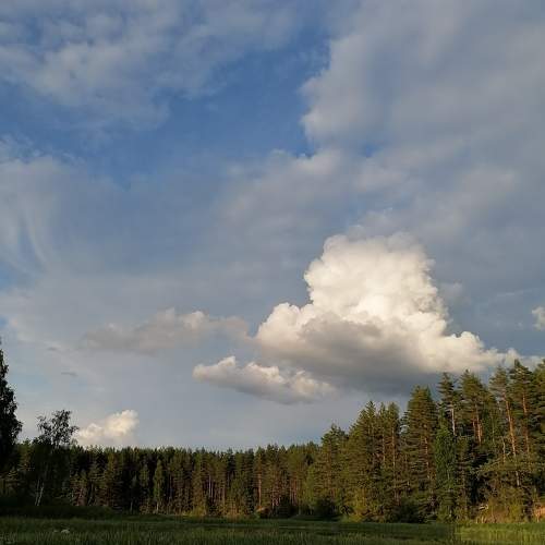Photo #8052342