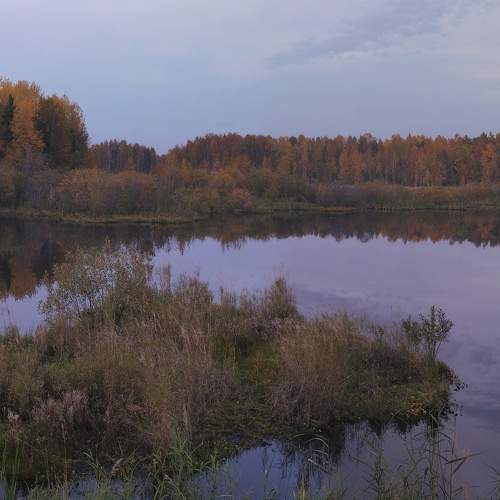 Photo #8052535