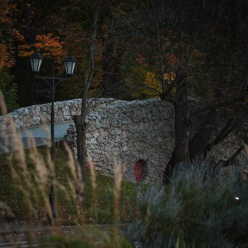 Photo #8053171