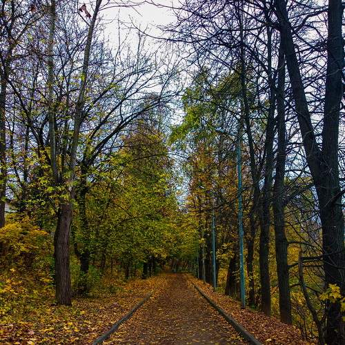 Photo #8053484