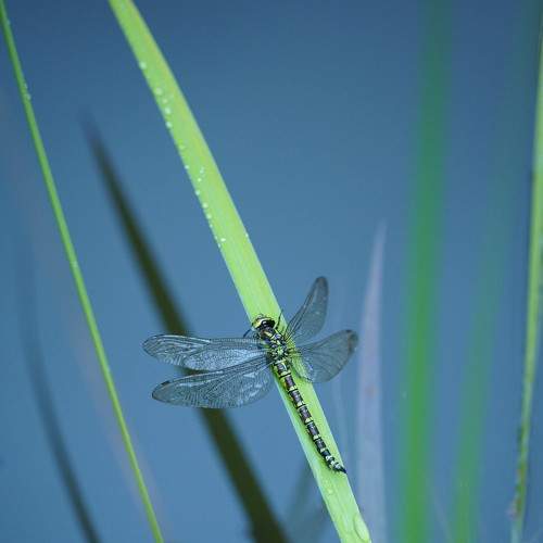 Photo #8053542