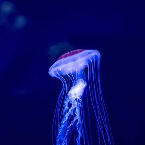 Photo #8053579
