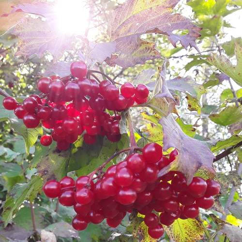 Photo #8053706