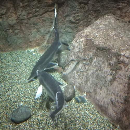 Photo #8053930