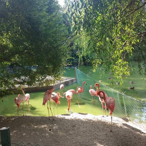 Photo #8053947