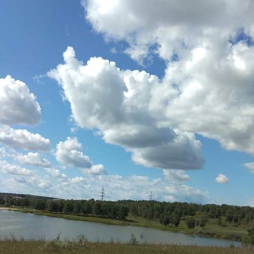 Photo #8053981