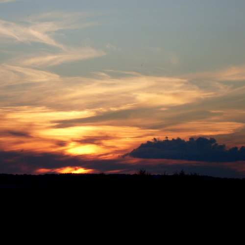 Photo #8054011