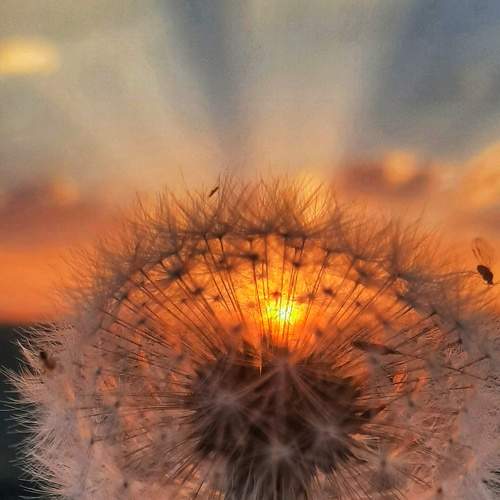 Photo #8054393