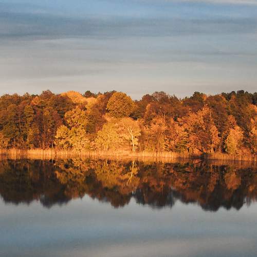 Photo #8054696