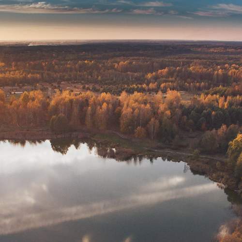 Photo #8054698