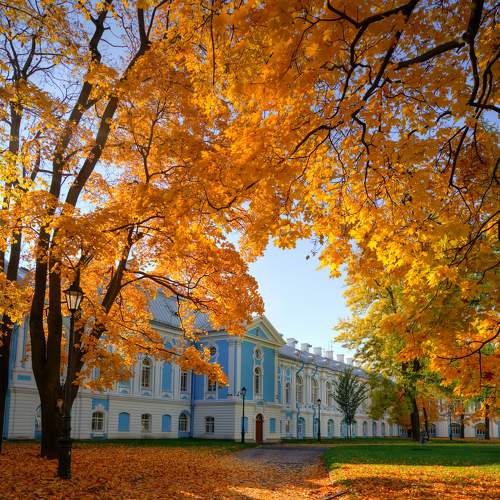 В гостях у осени