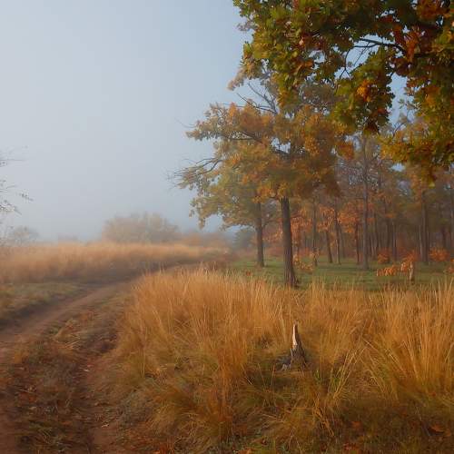 Photo #8054808