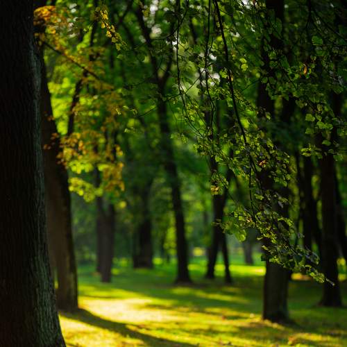 Photo #8055481