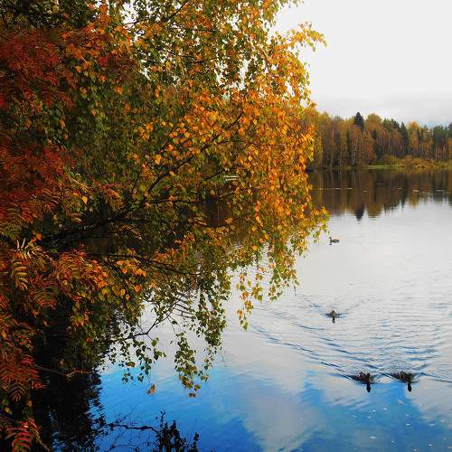 Photo #8055543