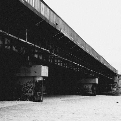 Photo #8056025