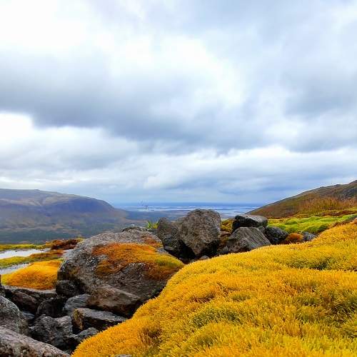 Photo #8056251