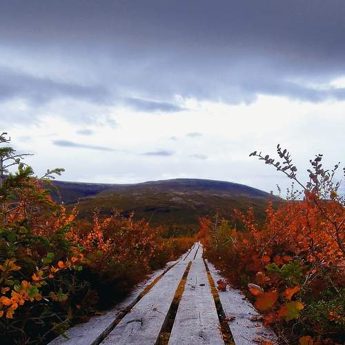 Photo #8056273