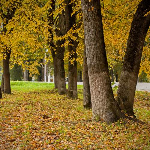 Photo #8056510