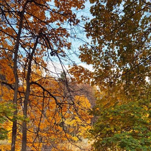 Photo #8056988