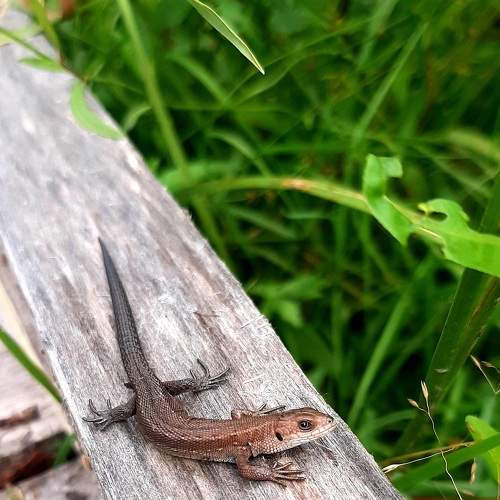 Photo #8057726