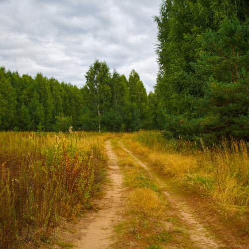 Photo #8058494