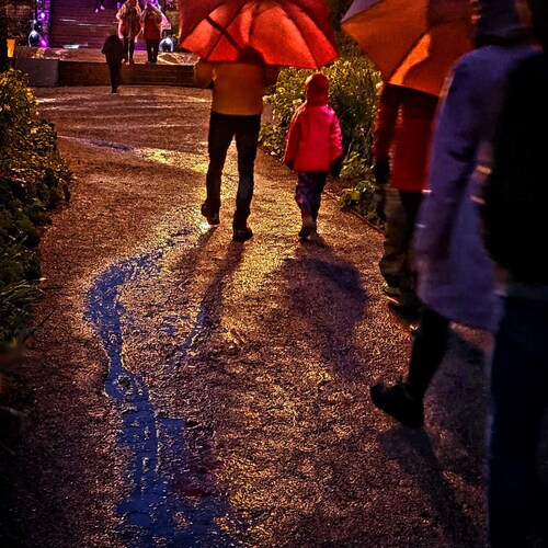 Photo #8058600