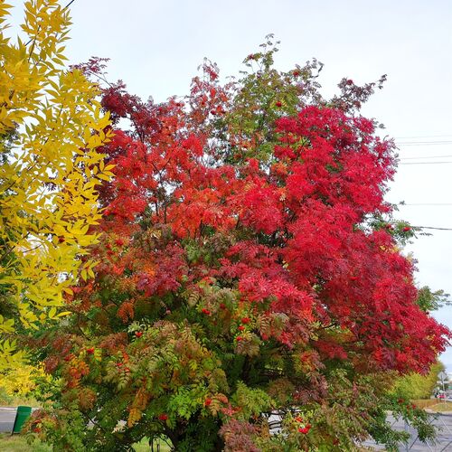 Photo #8058609