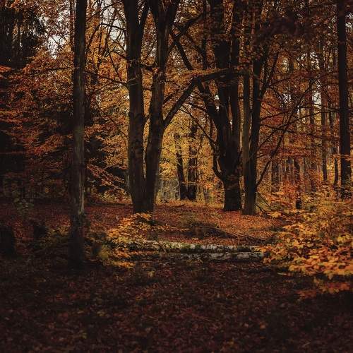 Photo #8058631