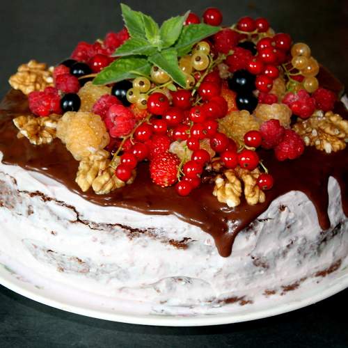 Photo #8058728