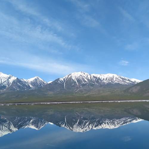 Photo #8059141