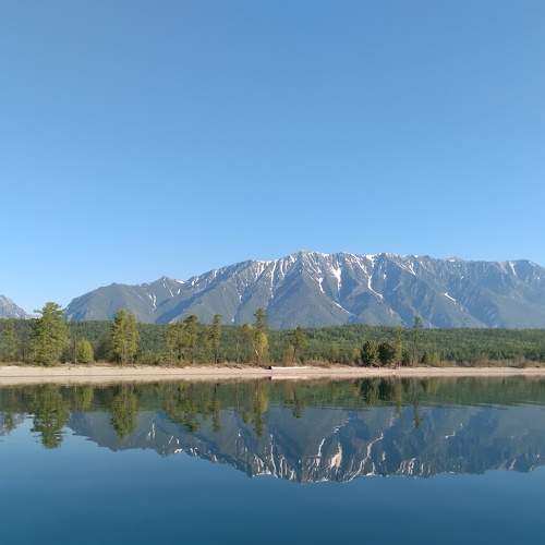 Photo #8059165