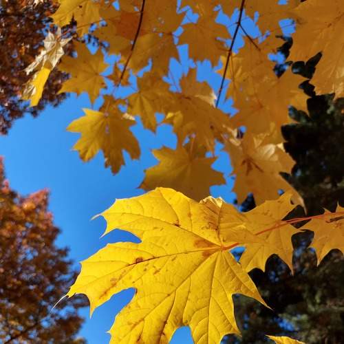 Photo #8059561