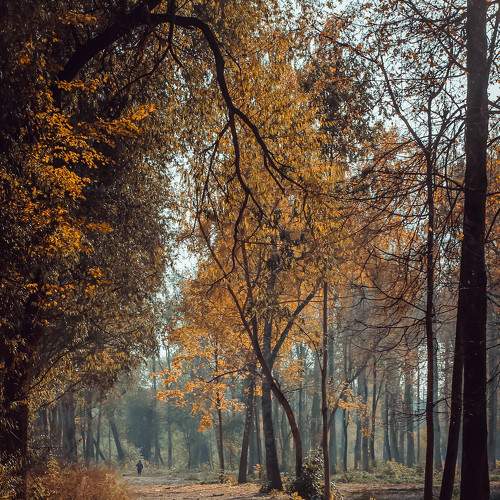 Photo #8059592