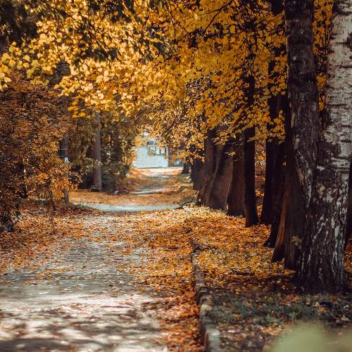 Photo #8059600