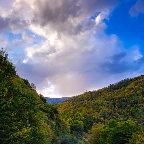 Photo #8060063