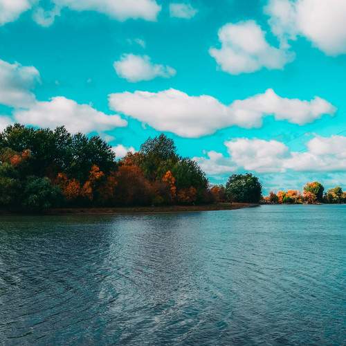 Photo #8060098