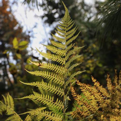 Photo #8060175