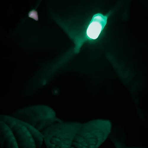 Photo #8060420