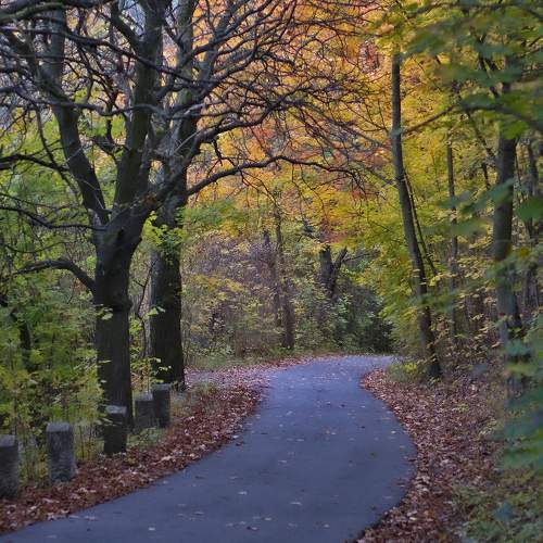 Photo #8060617