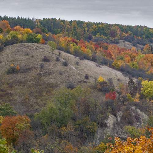 Photo #8060619