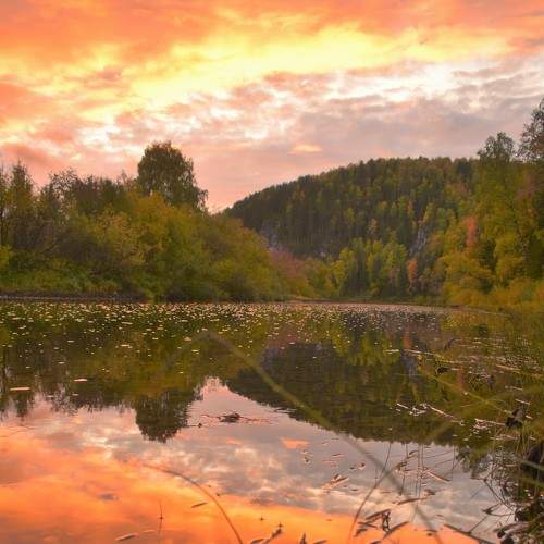 Photo #8060641