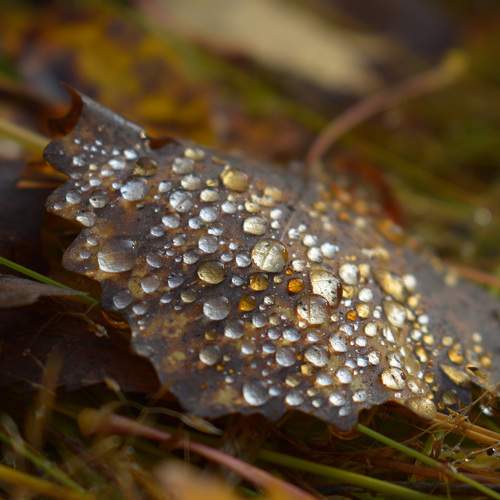 Photo #8060670